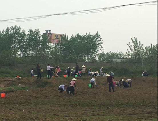 fhty凤凰·(中国集团)官方网站