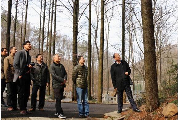 fhty凤凰·(中国集团)官方网站