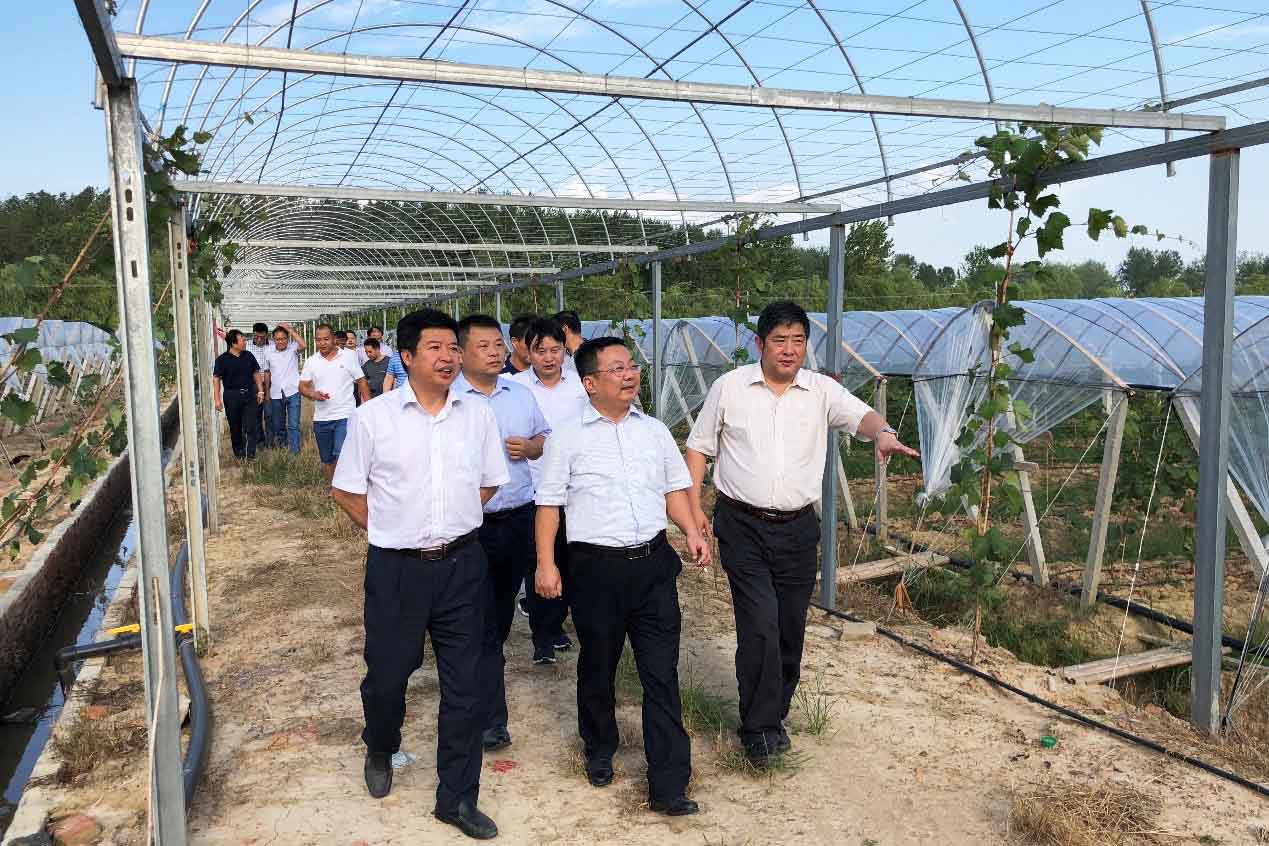 fhty凤凰·(中国集团)官方网站