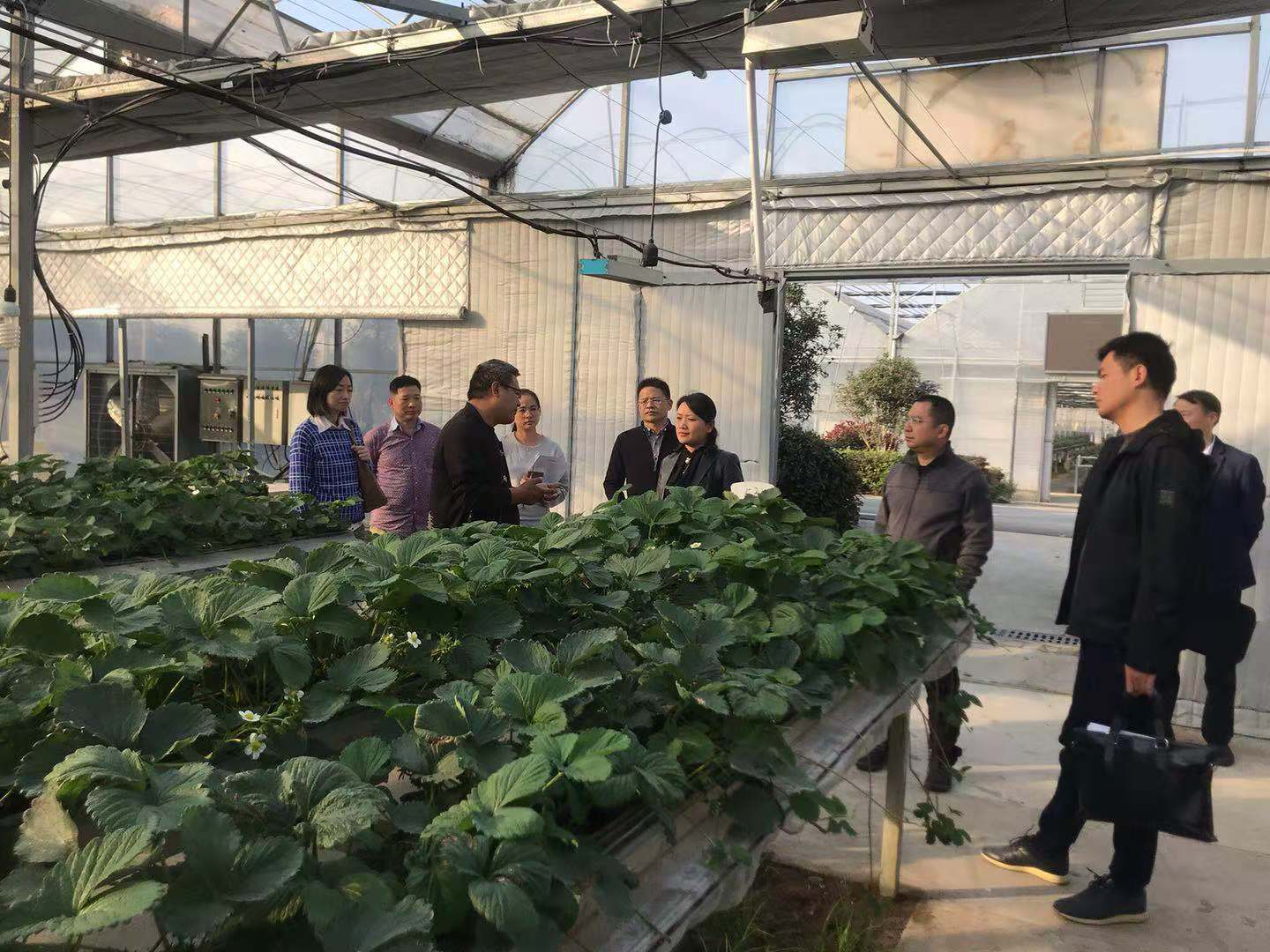fhty凤凰·(中国集团)官方网站
