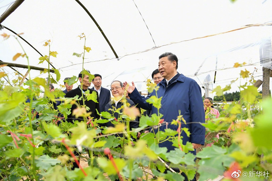 fhty凤凰·(中国集团)官方网站