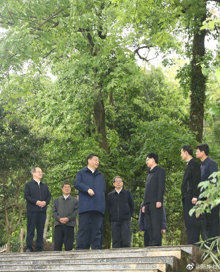 fhty凤凰·(中国集团)官方网站